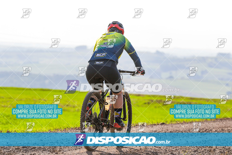 V Desafio MTB Marialva