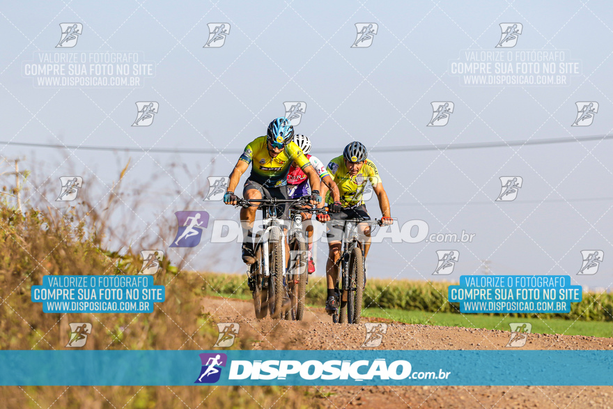 V Desafio MTB Marialva