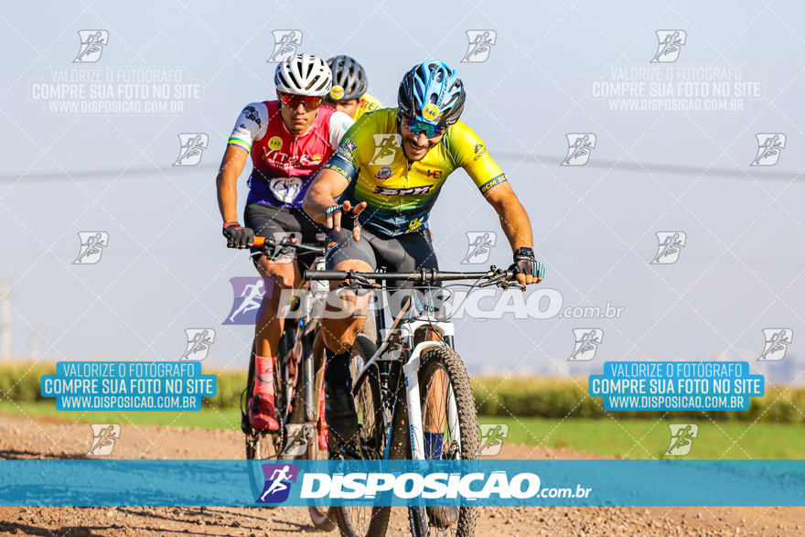 V Desafio MTB Marialva