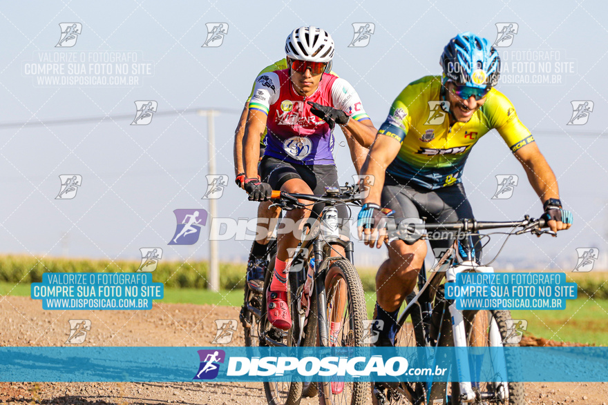 V Desafio MTB Marialva