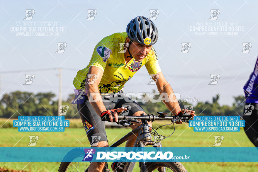 V Desafio MTB Marialva