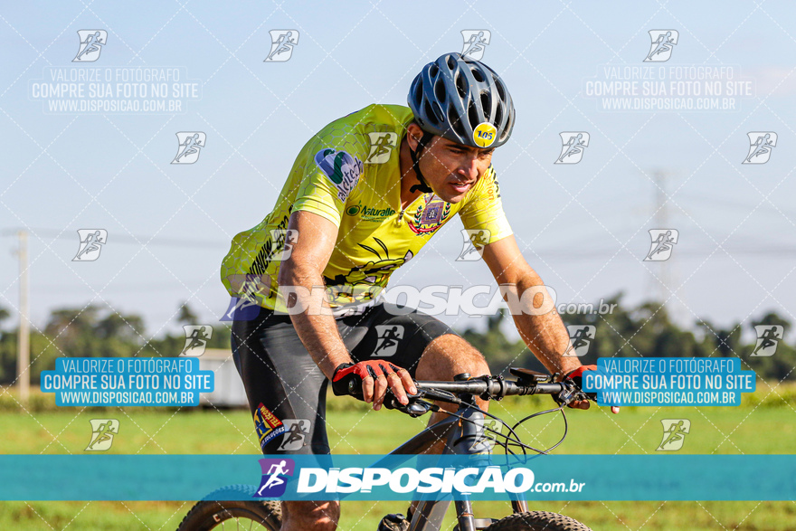 V Desafio MTB Marialva