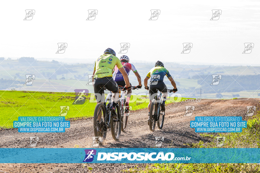 V Desafio MTB Marialva