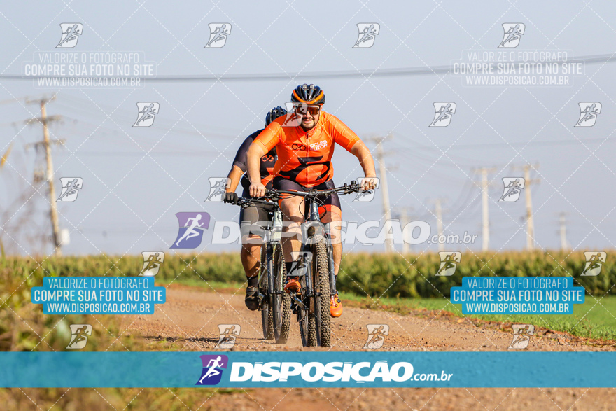 V Desafio MTB Marialva