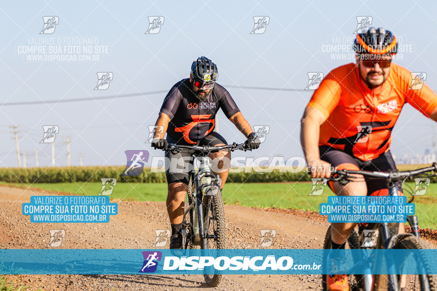 V Desafio MTB Marialva