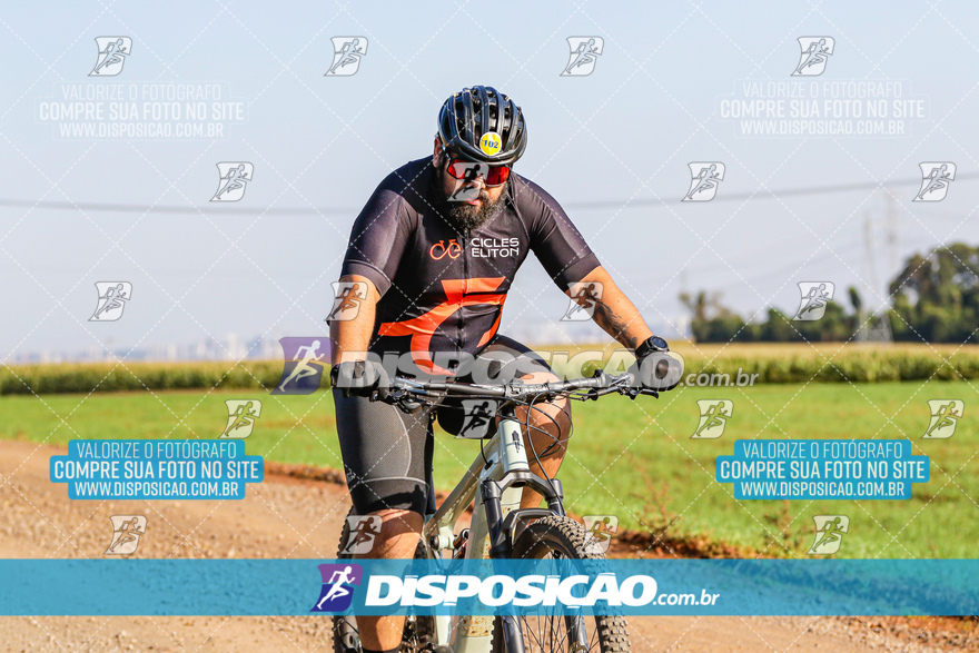 V Desafio MTB Marialva