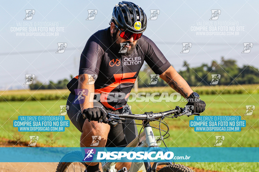 V Desafio MTB Marialva