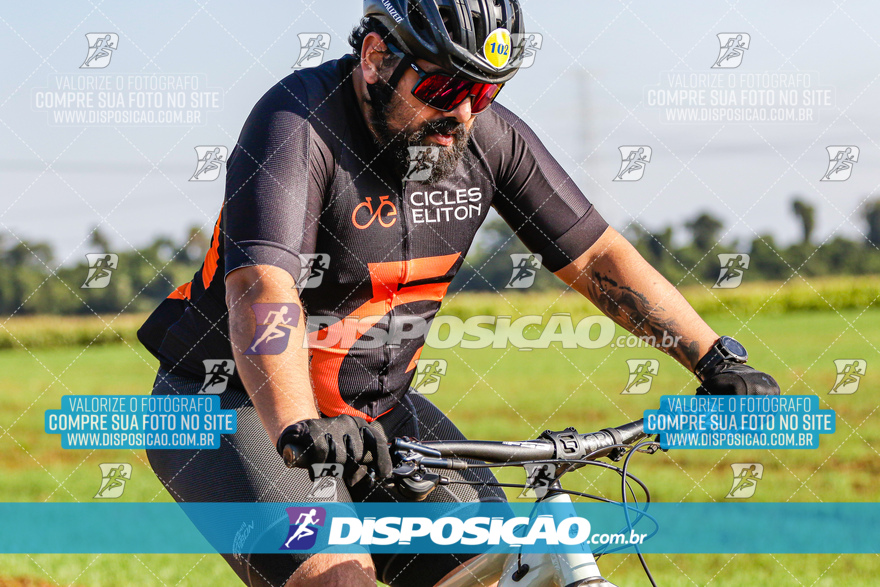 V Desafio MTB Marialva