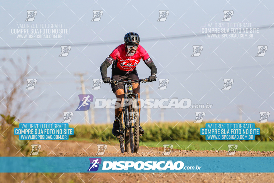 V Desafio MTB Marialva