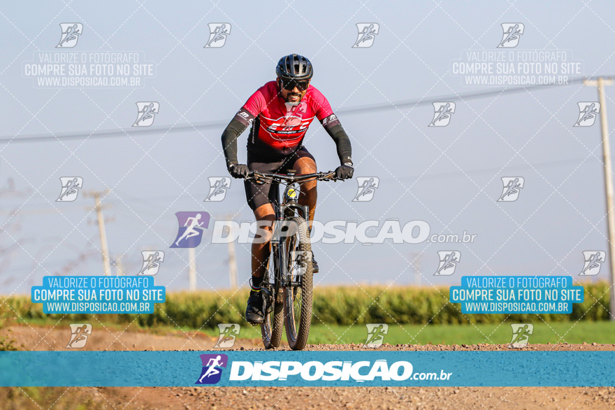 V Desafio MTB Marialva