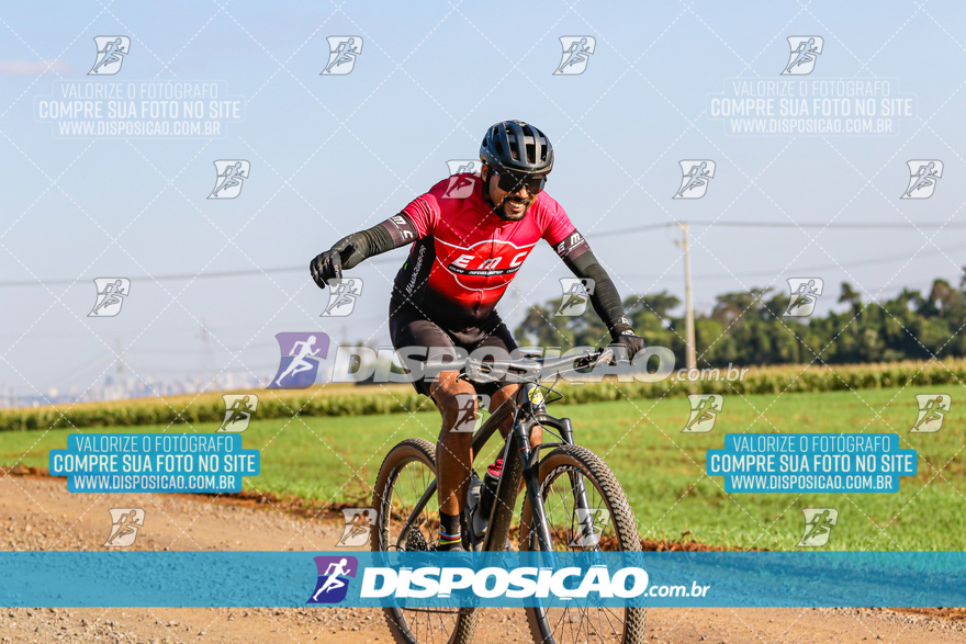 V Desafio MTB Marialva