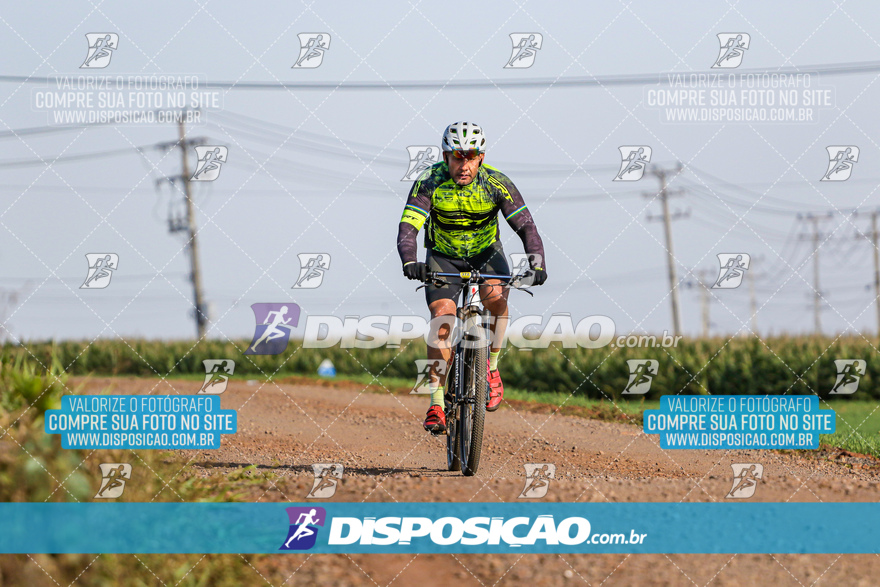 V Desafio MTB Marialva