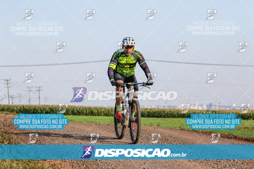 V Desafio MTB Marialva