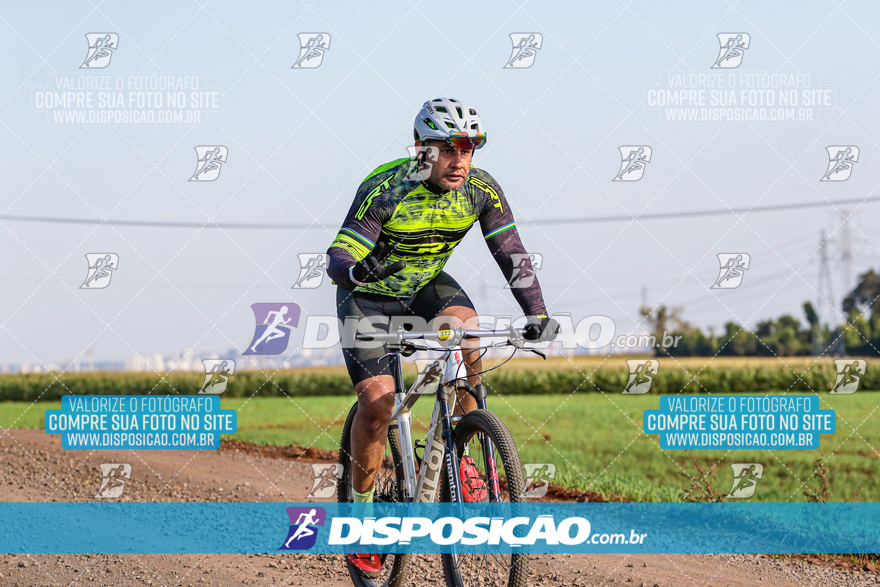 V Desafio MTB Marialva