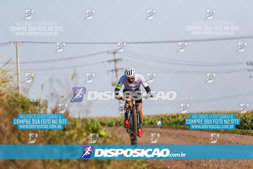 V Desafio MTB Marialva