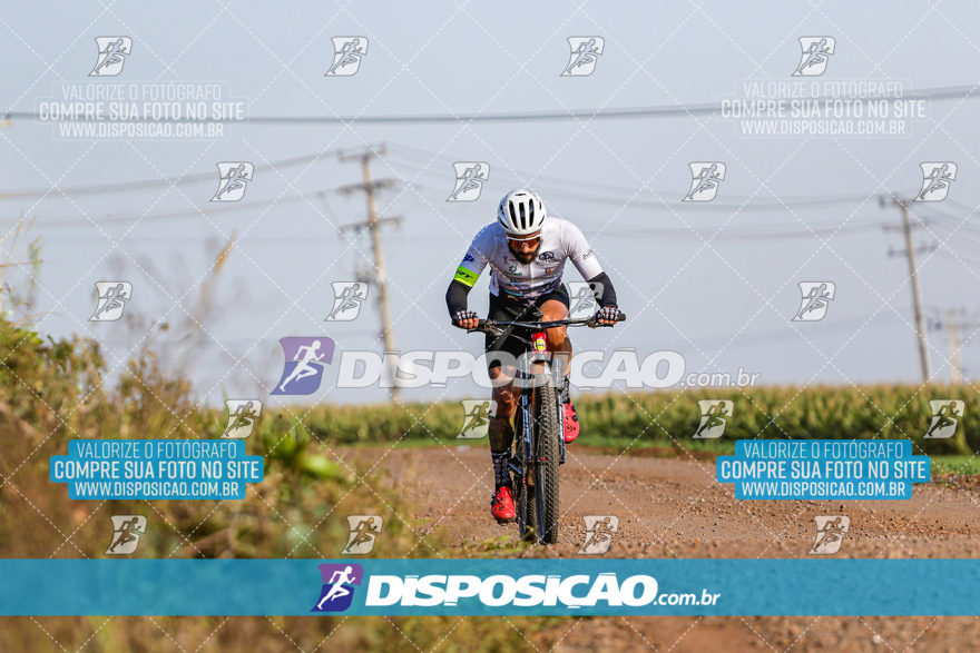 V Desafio MTB Marialva