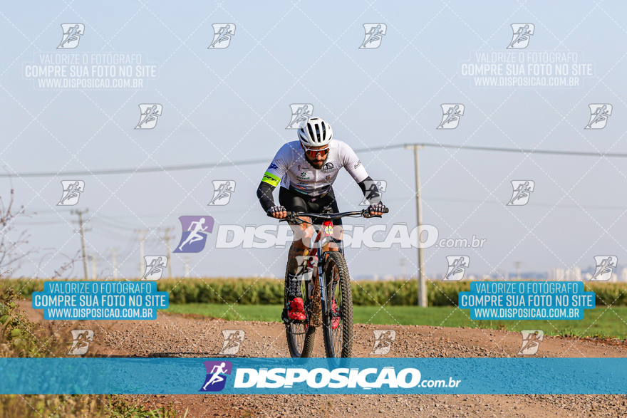 V Desafio MTB Marialva