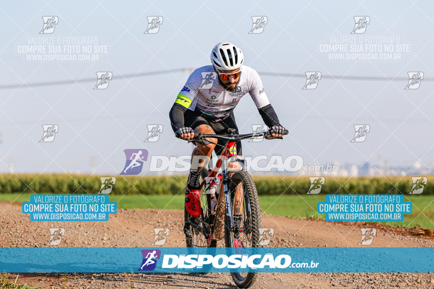 V Desafio MTB Marialva