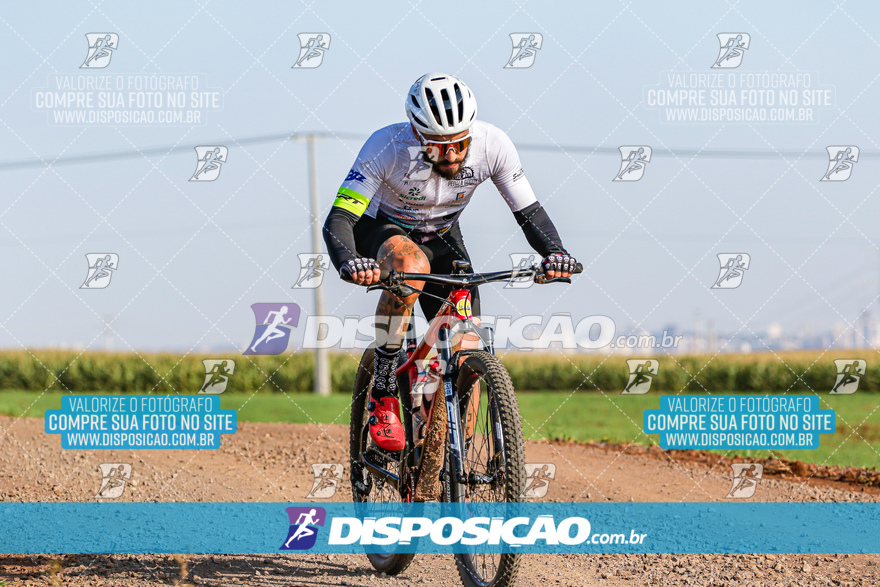 V Desafio MTB Marialva