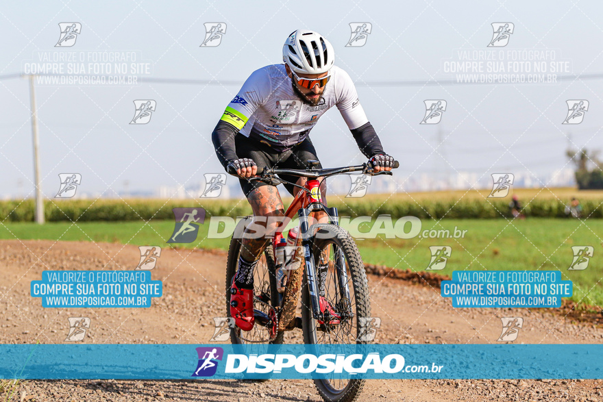 V Desafio MTB Marialva