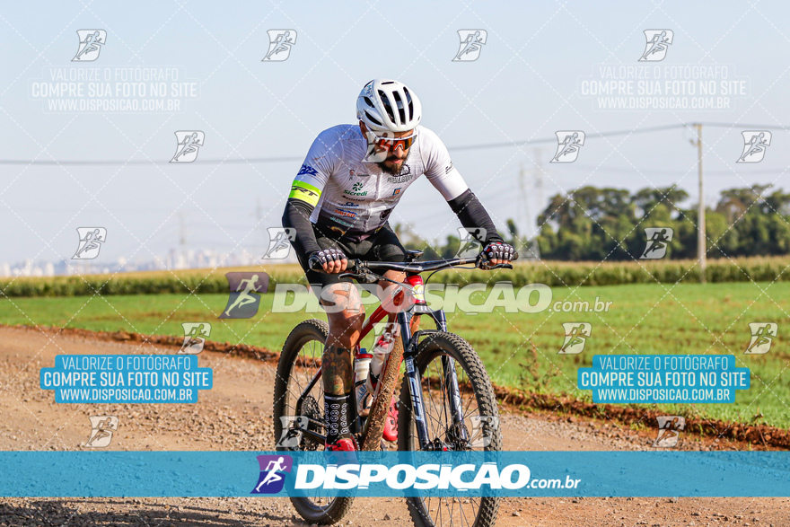 V Desafio MTB Marialva