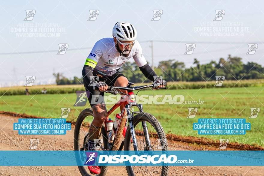 V Desafio MTB Marialva