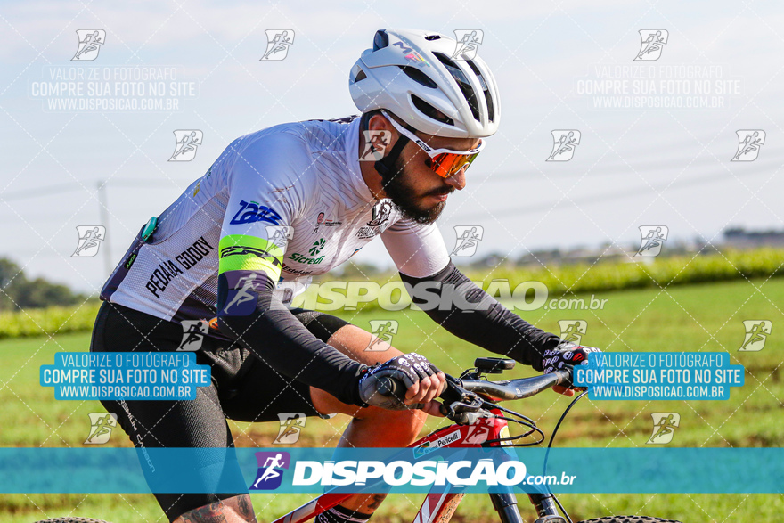 V Desafio MTB Marialva