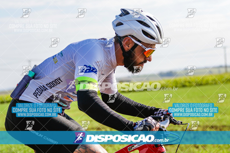 V Desafio MTB Marialva