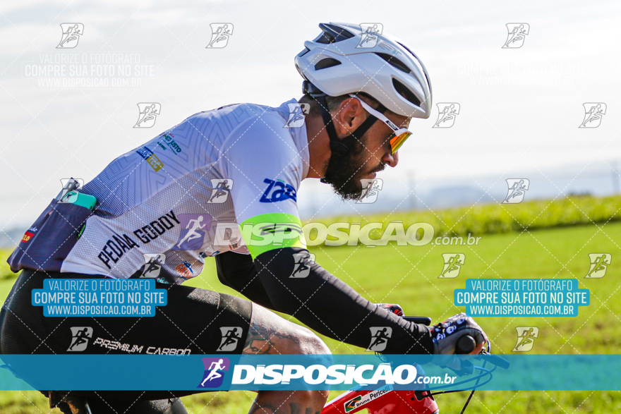 V Desafio MTB Marialva