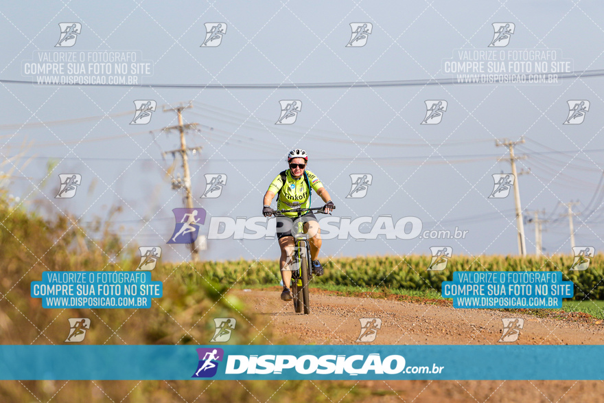 V Desafio MTB Marialva