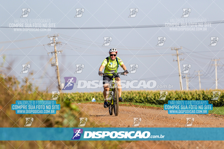 V Desafio MTB Marialva