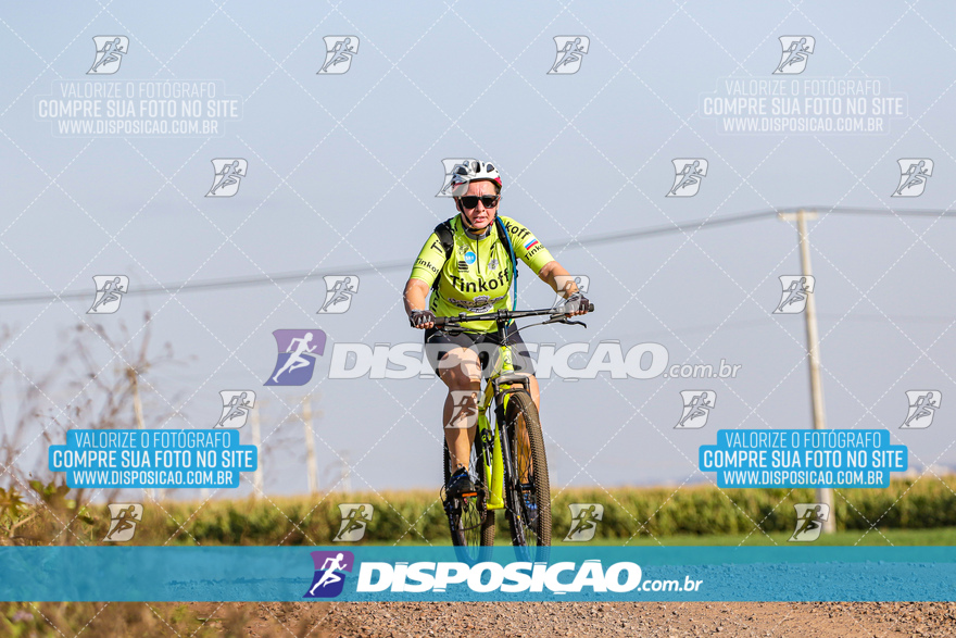 V Desafio MTB Marialva