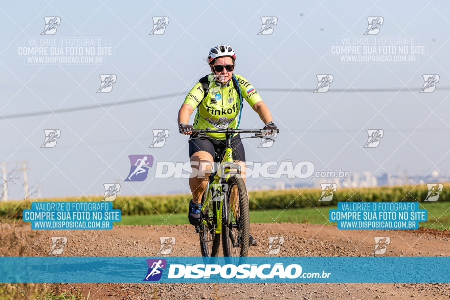 V Desafio MTB Marialva