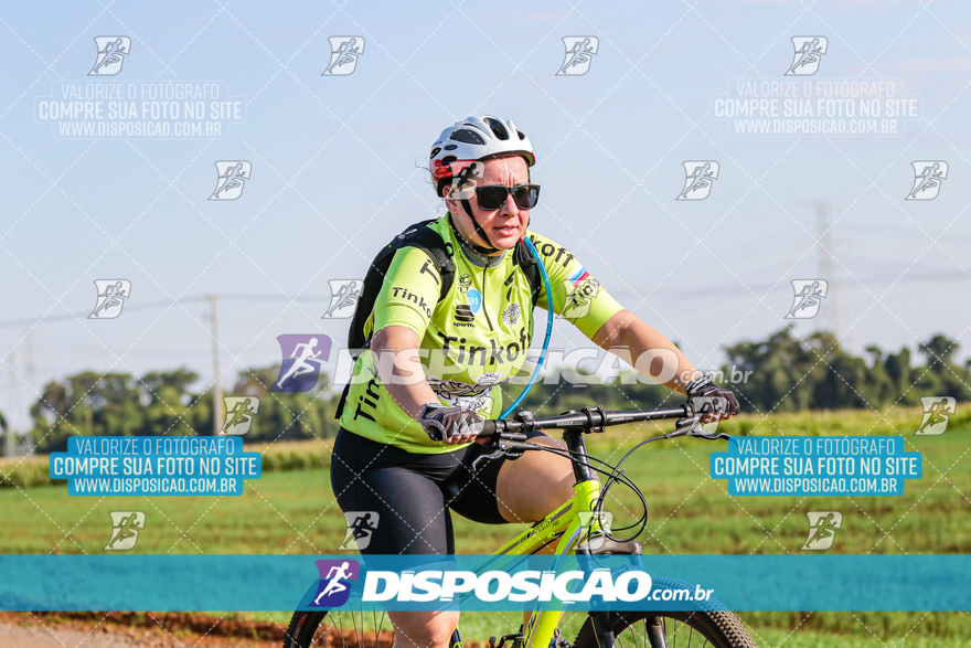 V Desafio MTB Marialva