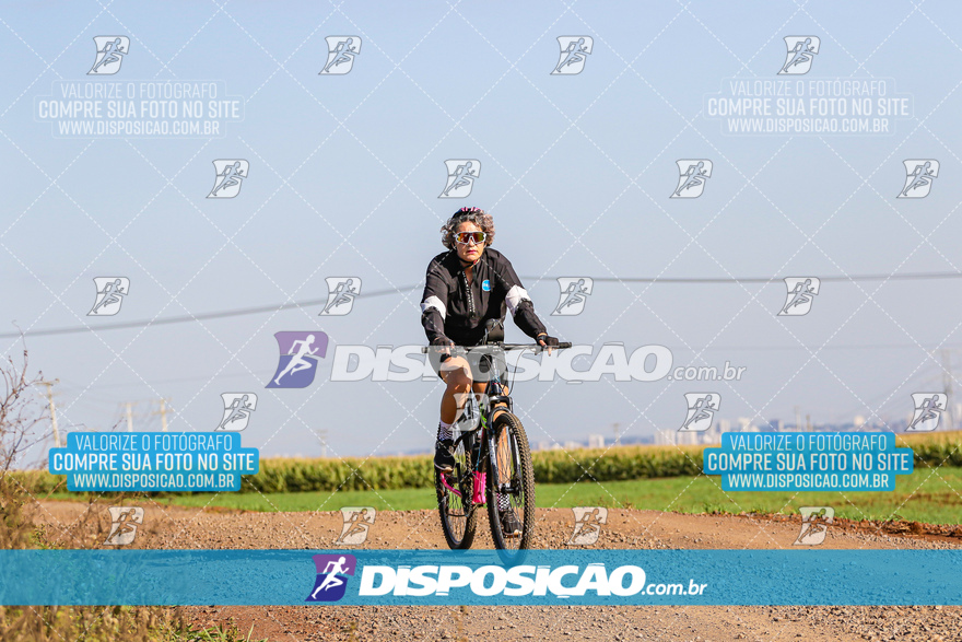 V Desafio MTB Marialva