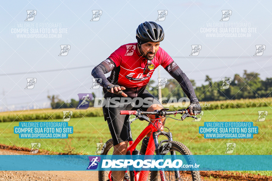 V Desafio MTB Marialva