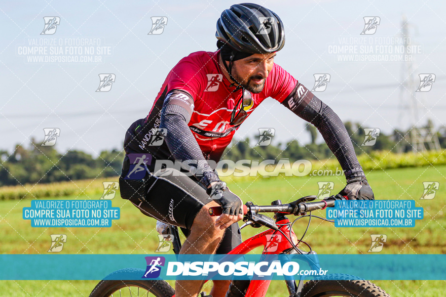 V Desafio MTB Marialva