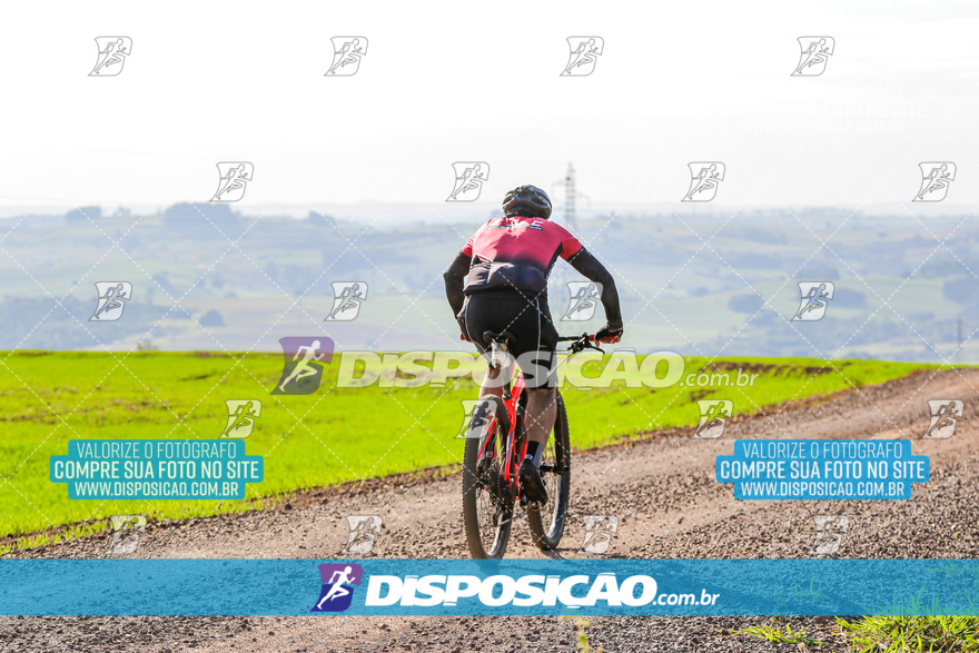 V Desafio MTB Marialva