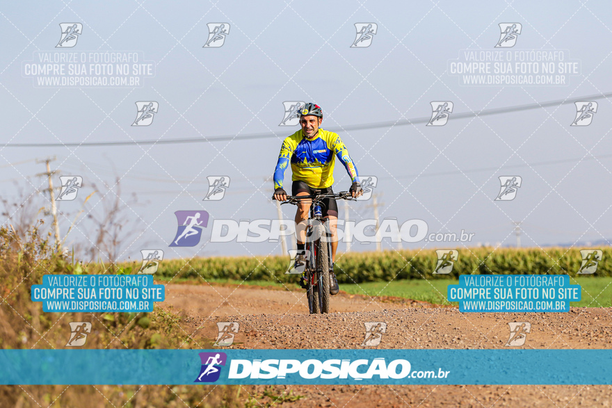 V Desafio MTB Marialva