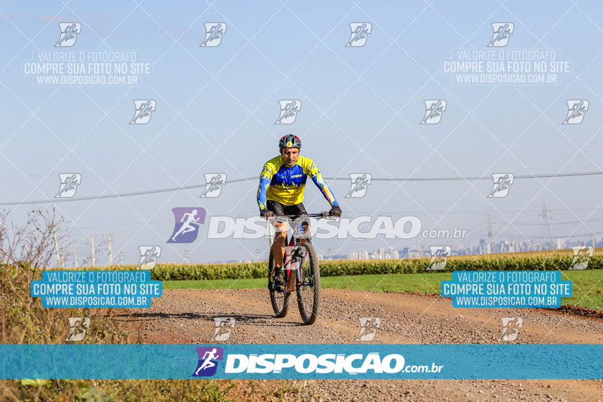 V Desafio MTB Marialva