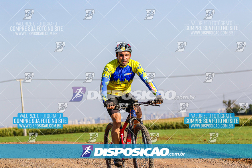 V Desafio MTB Marialva