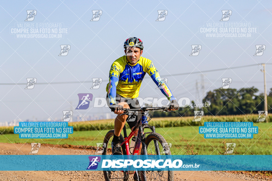 V Desafio MTB Marialva