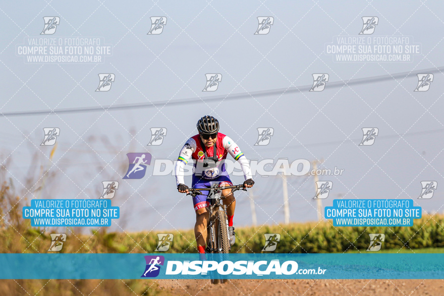 V Desafio MTB Marialva