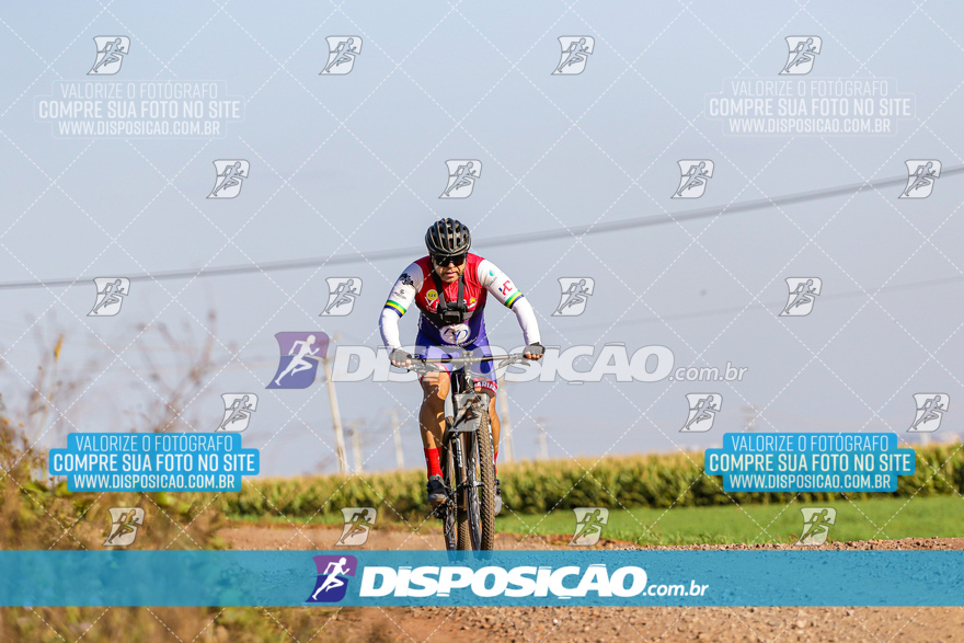 V Desafio MTB Marialva