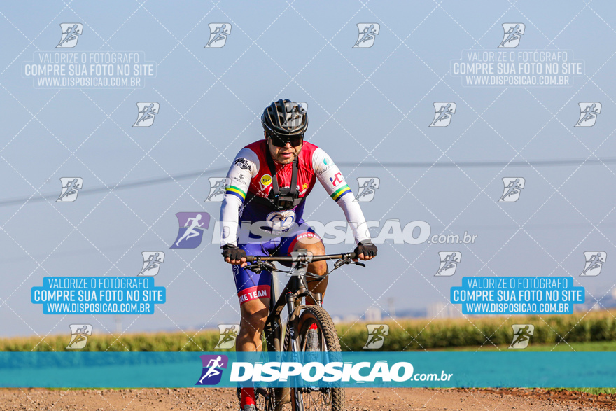 V Desafio MTB Marialva