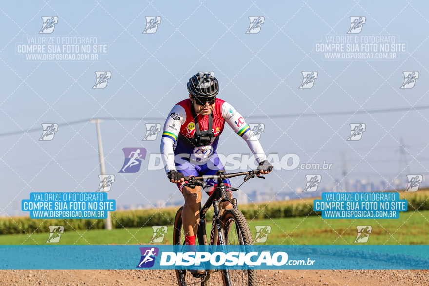 V Desafio MTB Marialva