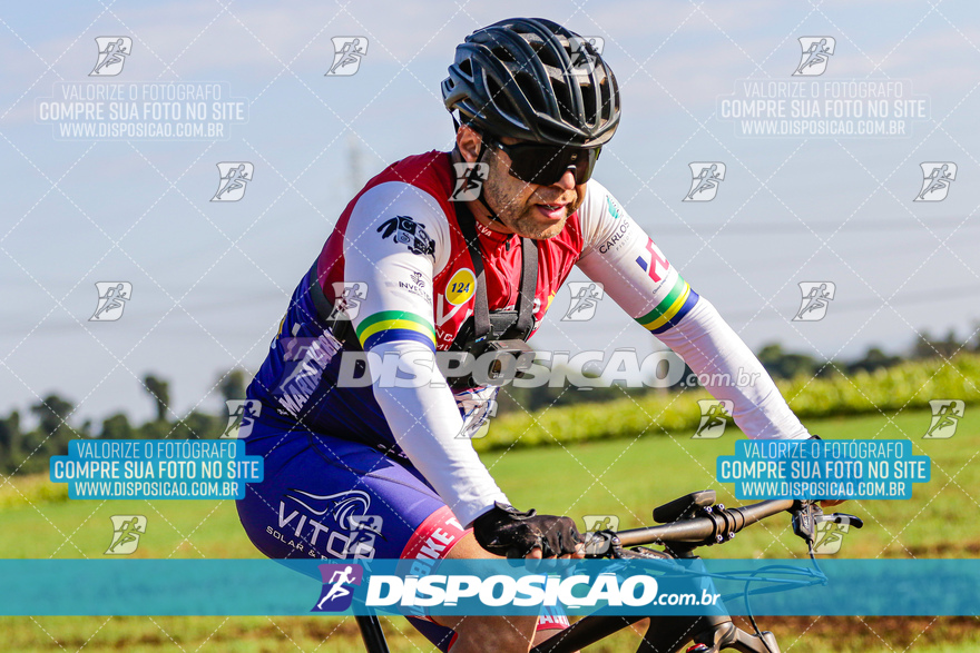 V Desafio MTB Marialva