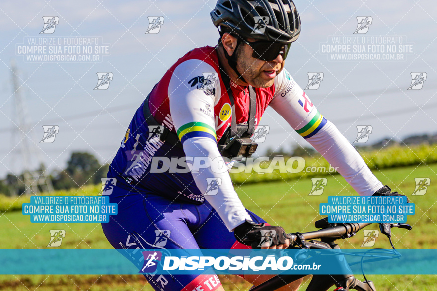 V Desafio MTB Marialva