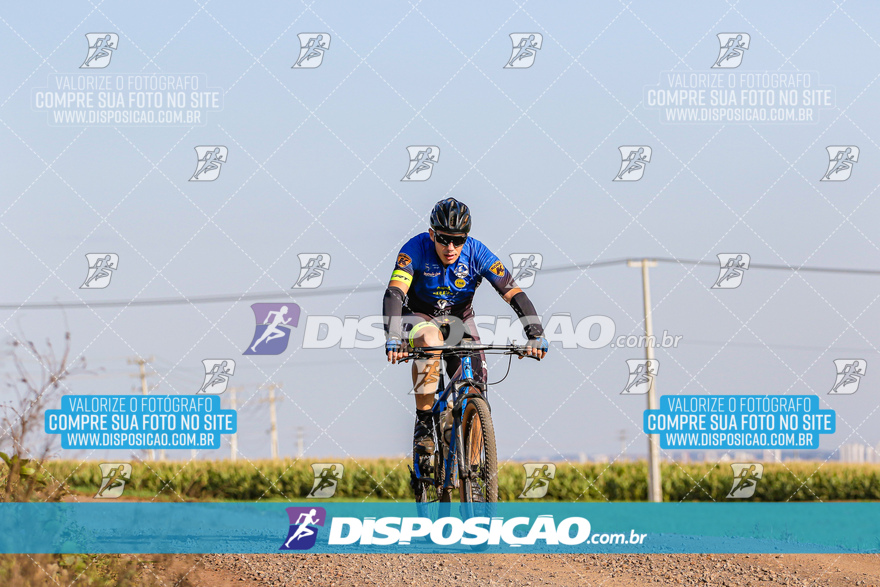 V Desafio MTB Marialva