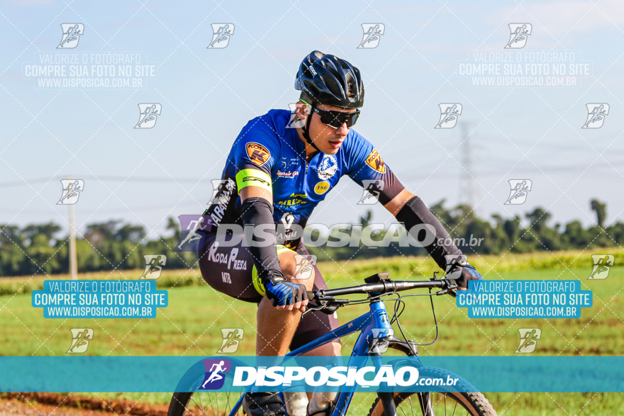 V Desafio MTB Marialva